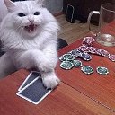 ���� ����, ������, 48 ��� - ��������� 3 ������� 2026