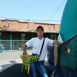 , 36 , 