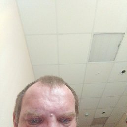 ����, 42 ����, ����