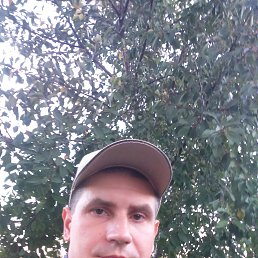 , 41, 
