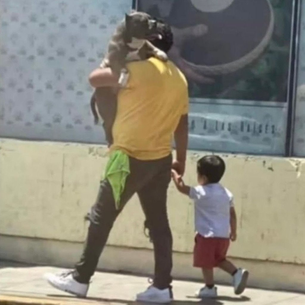 ������������ ������ ������ �������� ���� � �������� ��������� � ������ � �������, ���� �� ����� ... - 3