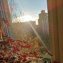 ���� �������, �����-��������� - ��������� 27 ������ 2025 � ������ ������ �����