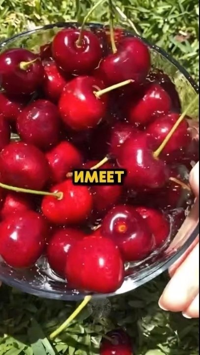     .     ,  :  ... - 2