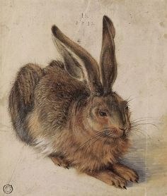    !   Albrecht Drer (14711528)    ... - 3
