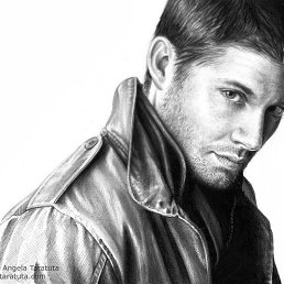 ���� ������, ���������, 40 ��� - ��������� 14 ������ 2025