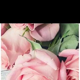 ������, ���, 33 ����