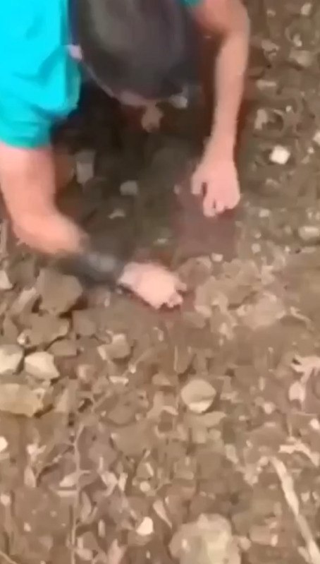 ���������� �����.������ �������������� ���� ���� ��������� ��������� ������� ���������. ��������� ... - 2