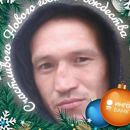 �����, ������, 37 ���