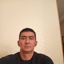 ���� �����, ��������, 40 ��� - ��������� 1 ������ 2026 � ������ ���� ����������