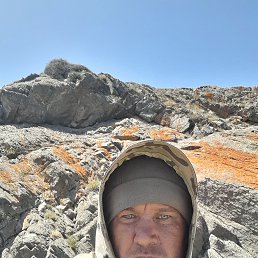 , 36, 
