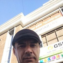 , 40 , 