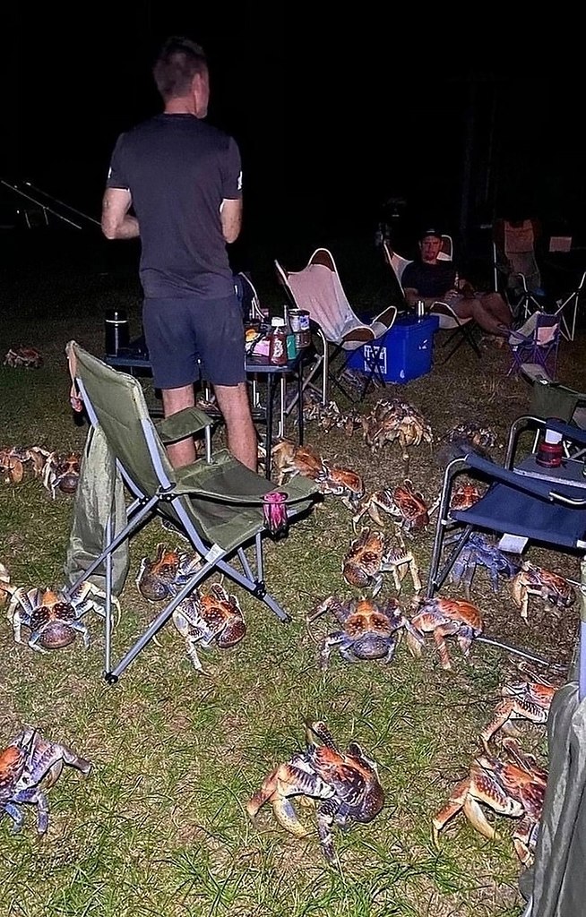  ,      ,    , ...