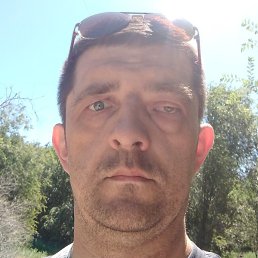 ���������, ���������, 40 ���