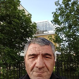 , 61 , 