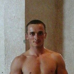 �����, ������, 46 ���