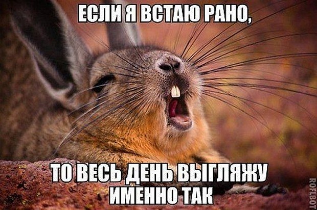 ☆   ☆ - 30  2025  00:07