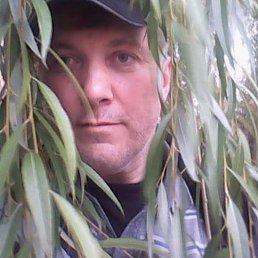 ���������, 61 ���, �����