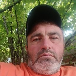 , 46, 