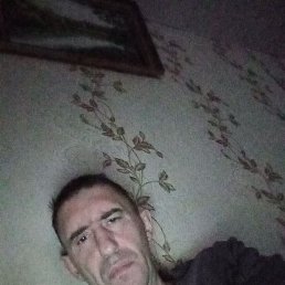 ��������, �����, 46 ���