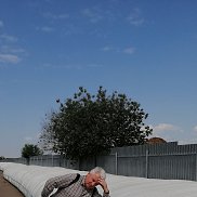 �������, 62 ����, ������