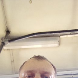 , 44, 