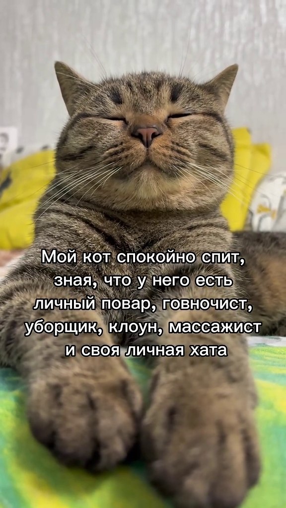 ������ � ��� ������� (������)