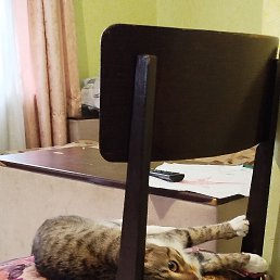 ���� ������. ���� � ���������, ��������, 61 ��� - ��������� 30 ������ 2025