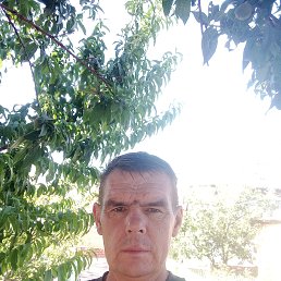 , 46, 