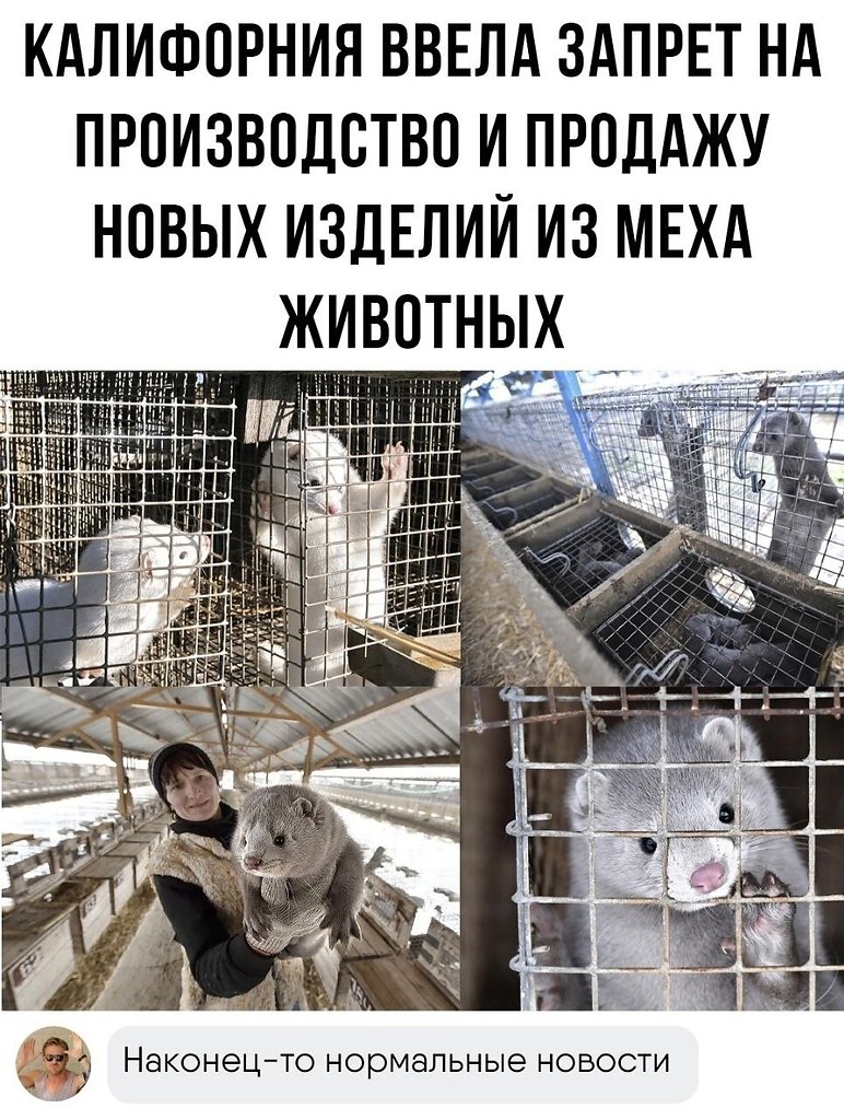     ,   .
