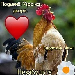 ���� ������ �����, ������, 64 ���� - ��������� 22 ����� 2024