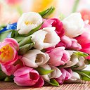 ���� ����, ��������, 51 ��� - ��������� 27 ������� 2023 � ������ ���� ����������