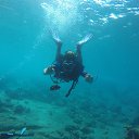 Diving in CuraCao