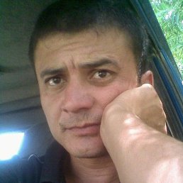 ���������, �����-���������, 46 ���