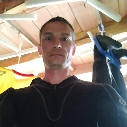 , 37, 