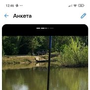 ���������, 56 ���, �����������