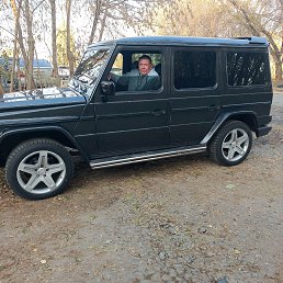 �����, 55 ���, �������