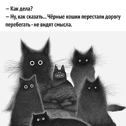 ������, �������, 49 ���