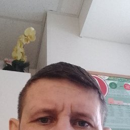 �����, 41 ���, ������-���