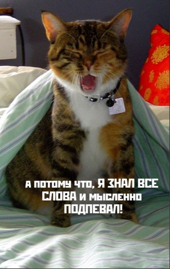 =»> - 3