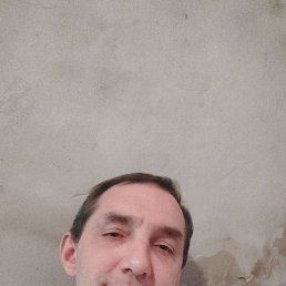 , 37, 