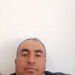 , 40, 
