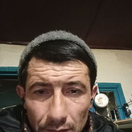 , 43, 