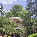 ���� ����, �������, 45 ��� - ��������� 9 ����� 2026