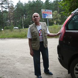 , 66, 