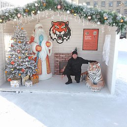 ���, ���������, 41 ���