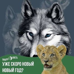 Oleg, , 50 