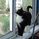 ���� �������, ������������ - ��������� 23 ������ 2025 � ������ ������ ��������