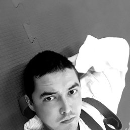 , 33, 