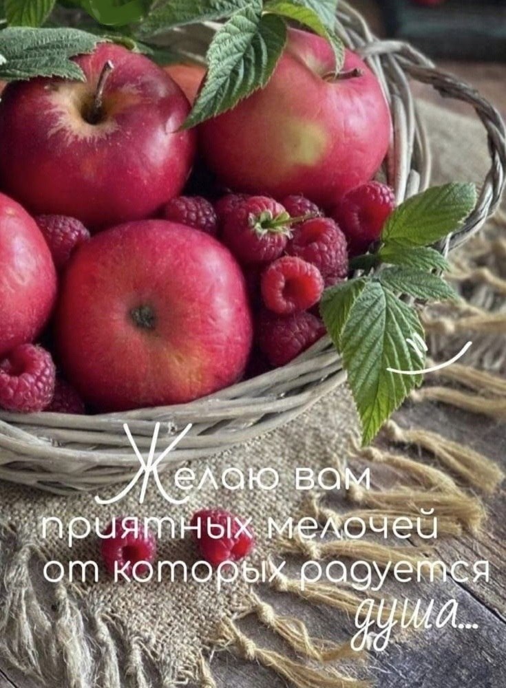 Бублик - 26 октября 2025 в 18:02