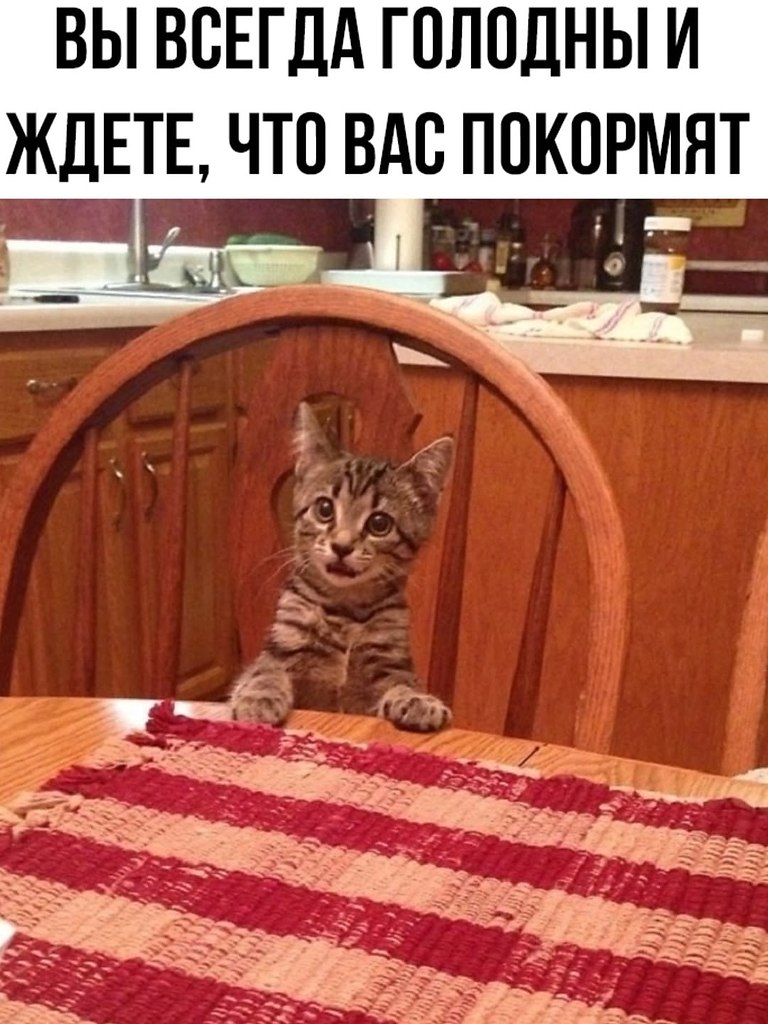  ... - 29  2025  08:14 - 4